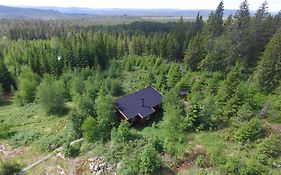 Cozy Forest Cabin With Amazing Mountain View