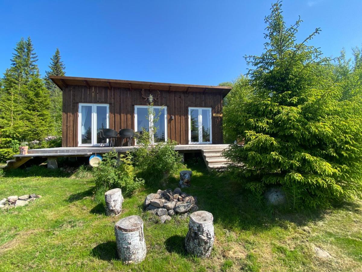 Cozy Forest Cabin With Amazing Mountain View Torsby Exteriör bild