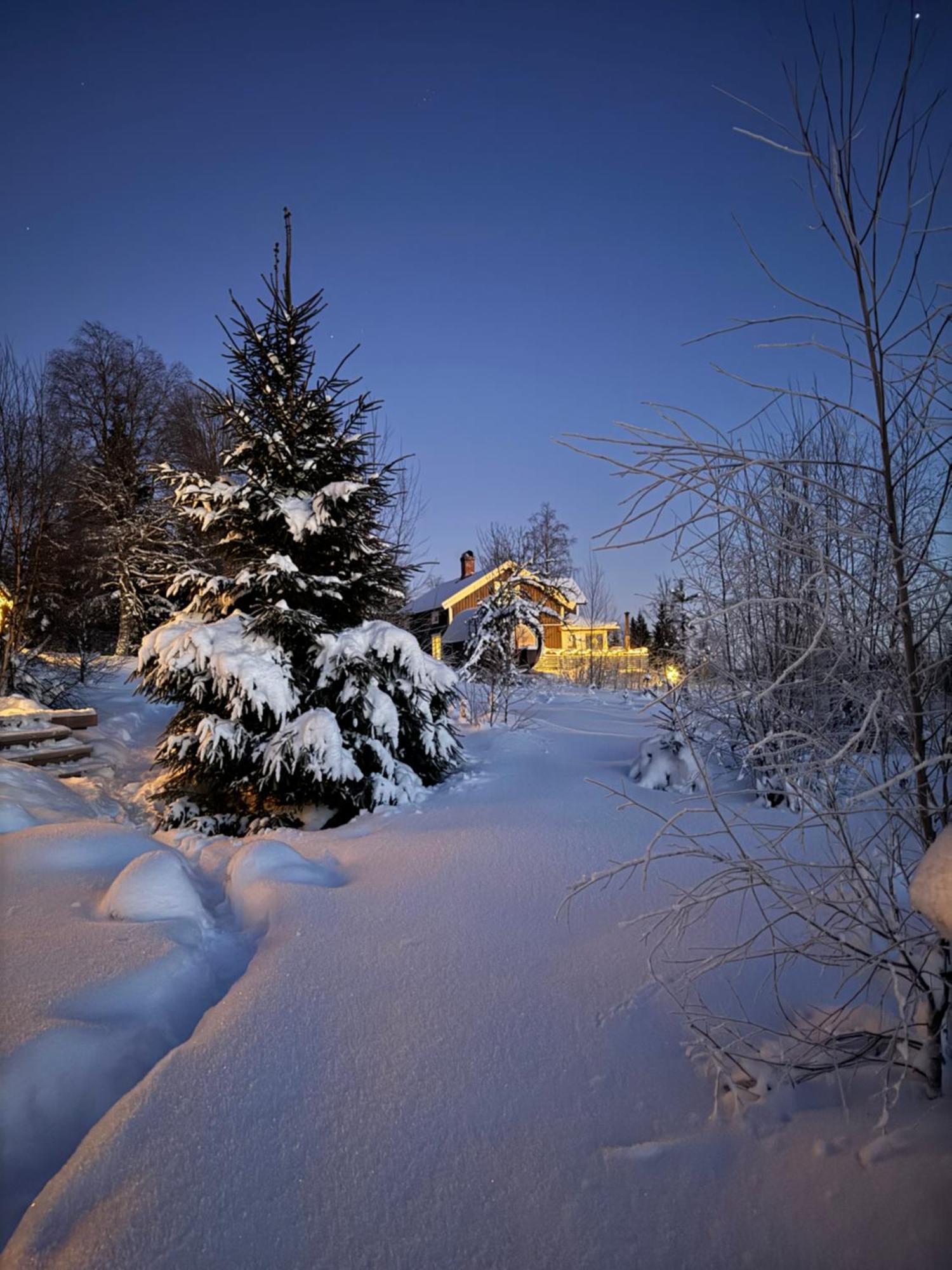 Cozy Forest Cabin With Amazing Mountain View Torsby Exteriör bild
