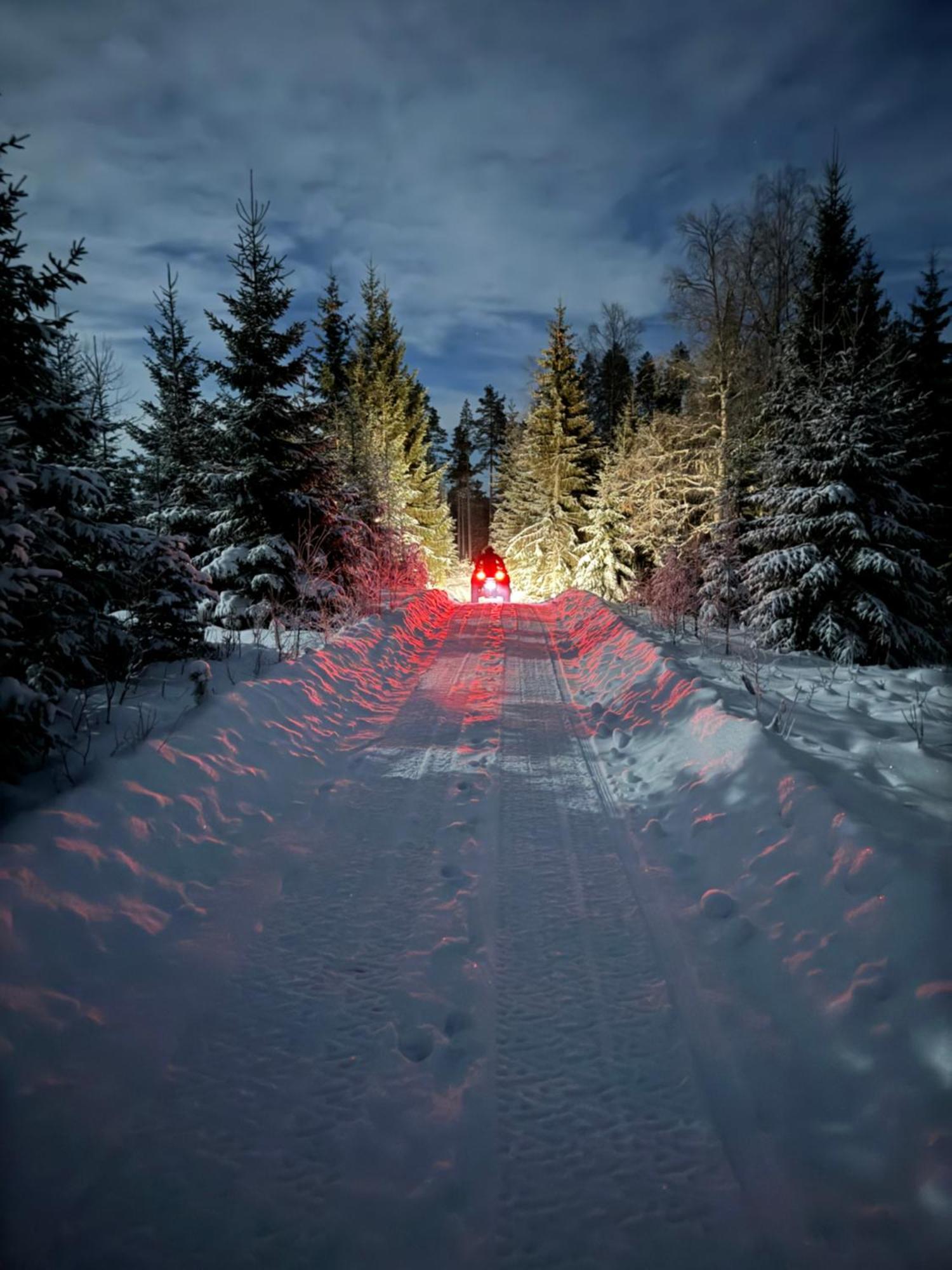 Cozy Forest Cabin With Amazing Mountain View Torsby Exteriör bild