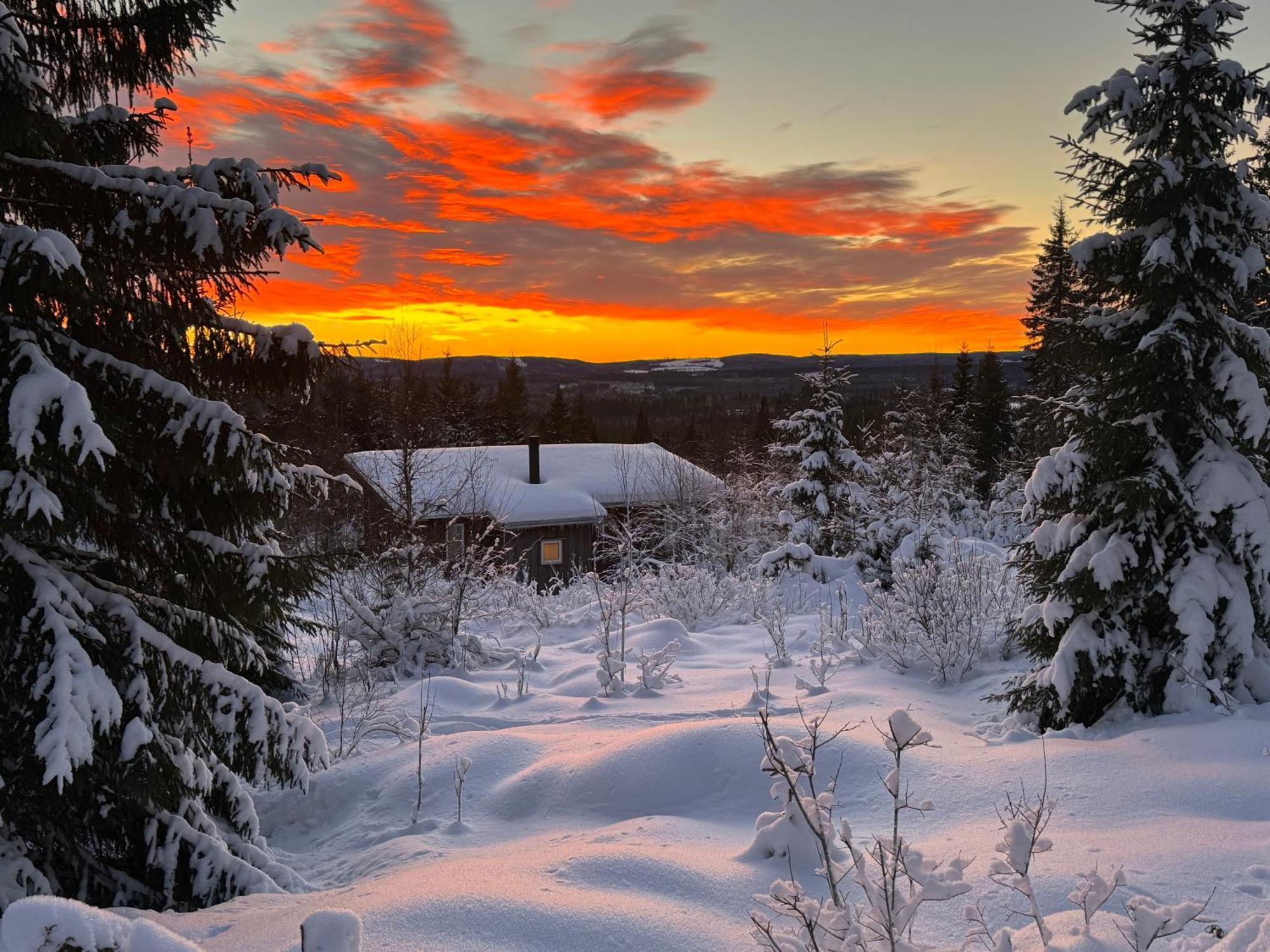 Cozy Forest Cabin With Amazing Mountain View Torsby Exteriör bild