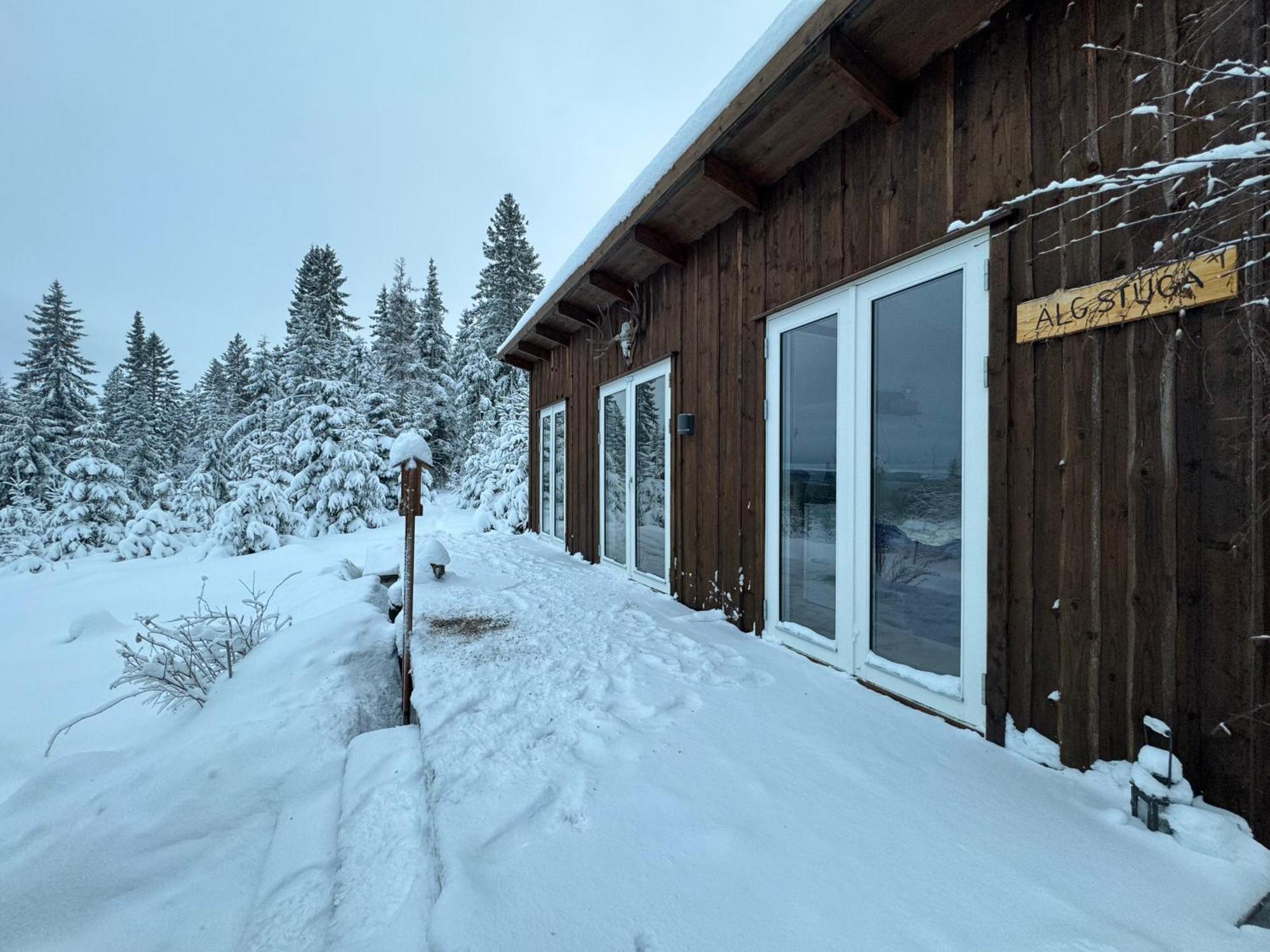 Cozy Forest Cabin With Amazing Mountain View Torsby Exteriör bild